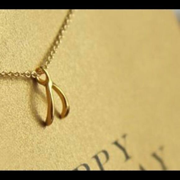 Gold Tone Wishbone Necklace  - Picture 1 of 2